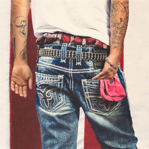 Jeris Johnson : Porn in the USA